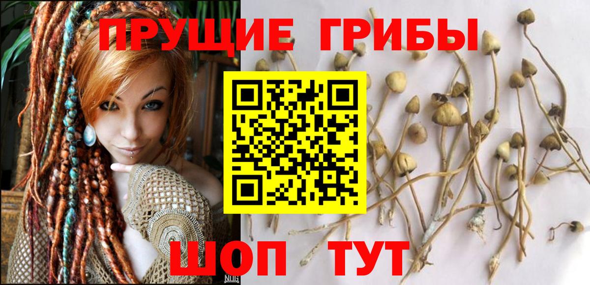 Псилоцибиновые грибы мицелий  Вход с VPN  Красный Сулин 